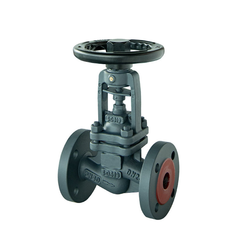 Bellow Globe Valve